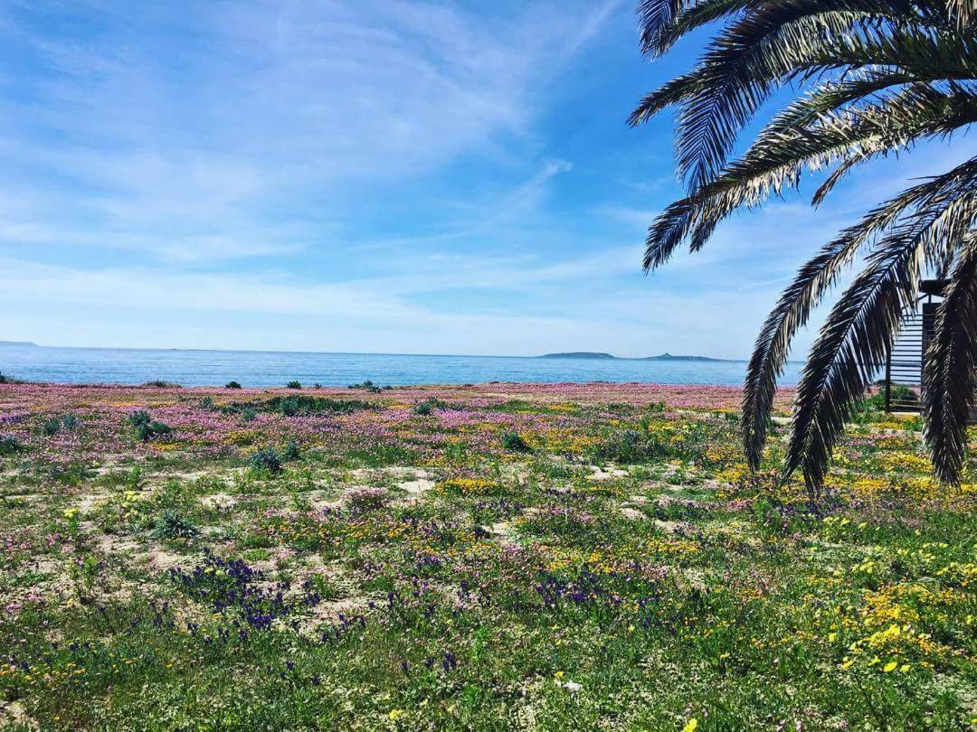 Affittacamere Acquamarina أوريستانو المظهر الخارجي الصورة